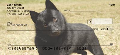 Schipperkes