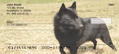 Schipperkes