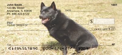 Schipperkes