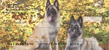 Belgian Sheepdogs