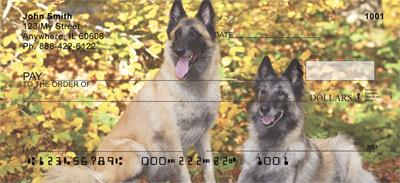 Belgian Sheepdogs