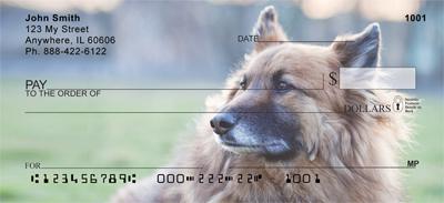 Belgian Sheepdogs