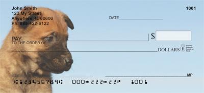 Belgian Sheepdog Puppies