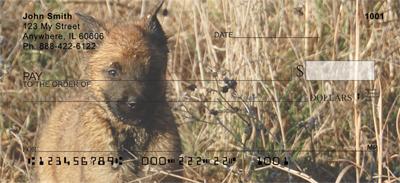 Belgian Sheepdog Puppies