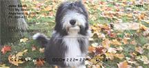Bearded Collies