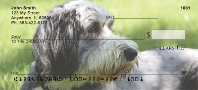 Bearded Collies