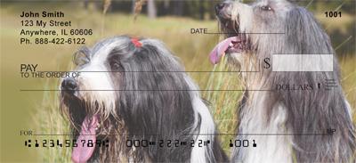Bearded Collies