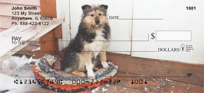 Bearded Collies