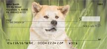 Cute Akitas