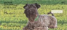 Kerry Blue Terriers