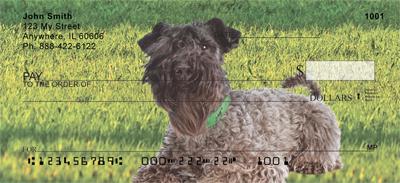 Kerry Blue Terriers