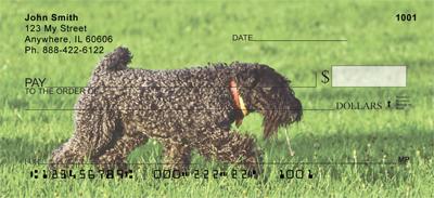 Kerry Blue Terriers