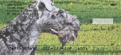 Kerry Blue Terriers