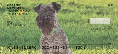 Kerry Blue Terriers