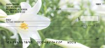 Easter Lilies