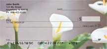 Calla Lilies