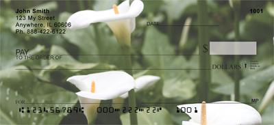 Calla Lilies