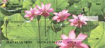 Water Lilies