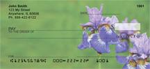 Blue Bearded Iris