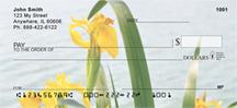 Yellow Iris