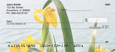 Yellow Iris