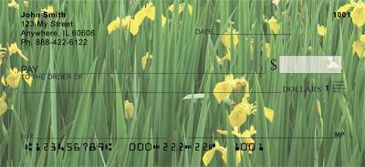 Yellow Iris