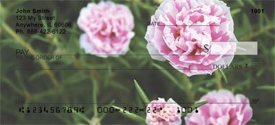 Pink Carnations