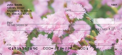 Pink Carnations