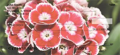 Red Carnations
