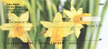 Yellow Daffodils