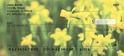 Yellow Daffodils