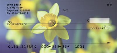 Yellow Daffodils