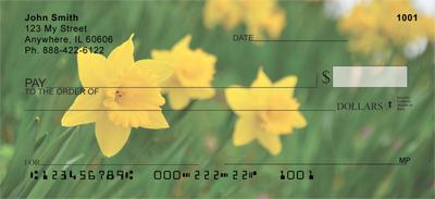 Yellow Daffodils