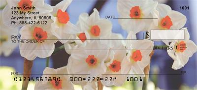 White Daffodils