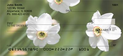 White Daffodils
