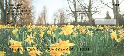 Daffodil Field