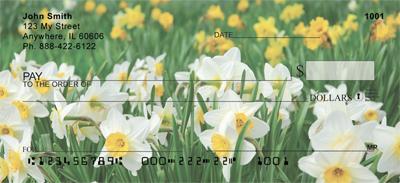 Daffodil Field