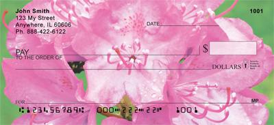 Rhododendron