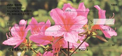 Rhododendron