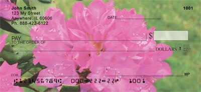 Rhododendron