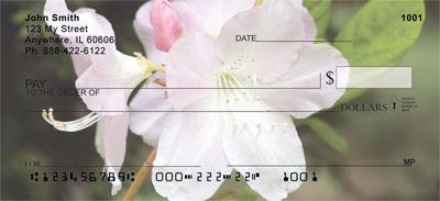 White Rhododendron
