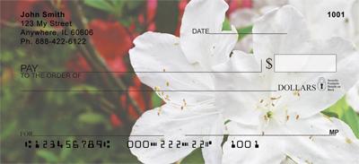 White Rhododendron