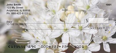 White Rhododendron