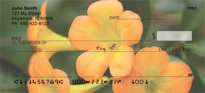 Tropical Rhododendron