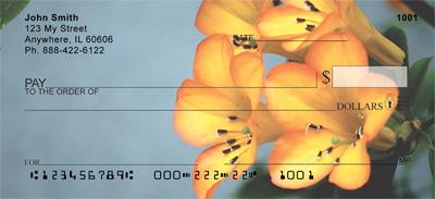 Tropical Rhododendron