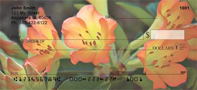 Tropical Rhododendron