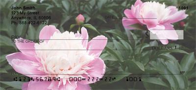 Pink Peonies