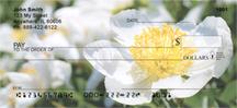White Peonies