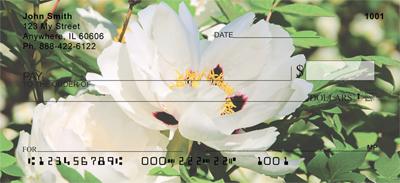 White Peonies