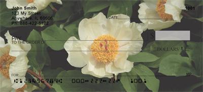 White Peonies